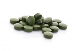 chlorella